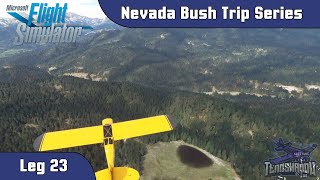 Microsoft Flight Simulator 2020 - Nevada Bush Trip - Leg 23