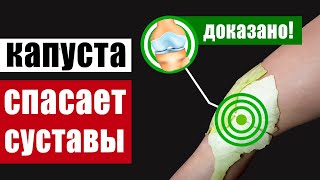 Капустный лист от боли в суставах и позвоночнике – как делать компресс, почему это всегда работает