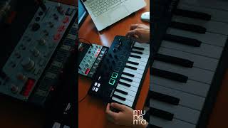 Trans-X - Living On Video (Live Loop Cover) | Minilab 3 #ableton #volcabass #korg