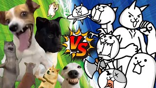 【にゃんこ大戦争】にゃんこ軍団 VS 犬ミーム軍団【アニメ】【猫ミーム】The battle cats VS Doge meme【Cat meme】