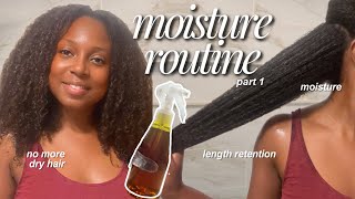 NO MORE DRY HAIR!! MASTER your MOISTURISING ROUTINE | how to grow long healthy hair PART 1