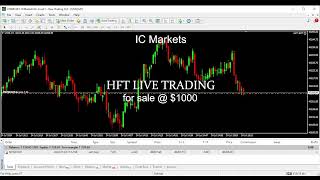 Turning $1,000 into $100,000 with a Live HFT Bot | Real-Time Trading on US30(DAY3)