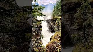 Athabasca Falls, Alberta-Canada waterfall #nature #waterfall #shorts