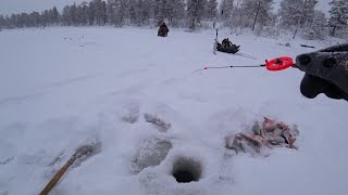 зимняя рыбалка на красивой таежной старице. окунь на мормышку.