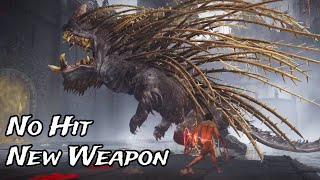 Elden Ring DLC - Golden Hippo No Damage (New Weapon)