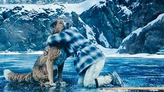 Yet another example of why dogs are better than humans ❤️🐕. superhit movies #netflix 2023