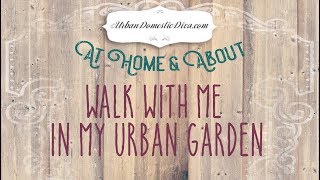 Join me on my own urban garden walk! -Urban Domestic Diva