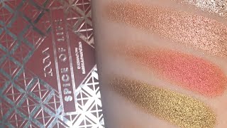 Zoeva “Spice Of Life” Pallet Swatched 🌶✨ #Swatches #Beauty #Makeup #Zoeva