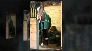 Lake Erie College Equine Studies Program