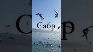 Сабр….- это терпение… #россия #рекомендации