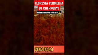 🟡 Fatos assustadores sobre Chernobyl | Dexter Responde