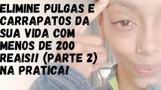 Como Acabar com Pulgas e Carrapatos em Três Passos Simples (Parte 2)