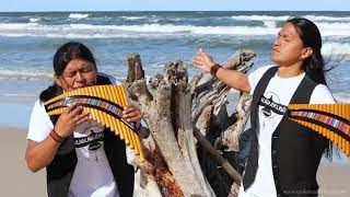 y2mate com   Titanic  My Heart Will Go On  Heart Touching Panflute Cover  Wuauquikuna 480p