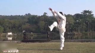 见过这么霸气的太极拳吗？练拳就该如此Have you ever seen such a domineering Tai Chi?  This is how boxing should be