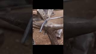 Blacksmith Making a Horseshoe and shoeing #Blacksmith #fyu #horseshoe #shoeing #shortsvideo #shorts