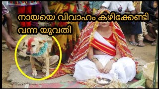 നായയെ വിവാഹം കഴിച്ച യുവതി  | woman married dog in india