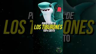 El PUNTO DÉBIL de los TIBURONES que APROVECHAN LAS ORCAS 🦈🚨 #tiburones #animales #tiburon #orca