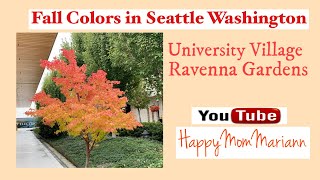 Fall Colors Seattle 2021 I University Village Seattle 2021 I Ravenna Gardens I @HappyMomMariann