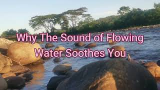 Why The Sound of Flowing Water Soothes You? / Jason JS @Jason JS