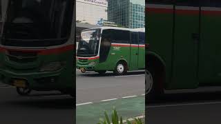 BUS KOTA #mayasari #bus #regular