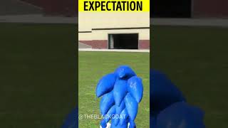 Sonic's Great Escape from the Skibidi Toilet - Expectation vs. Reality