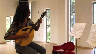 Octave mandolin Yaron naor