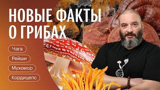 Экстракция чаги и мухомора, польза рейши и кордицепса, микродозинг, грибы Латвии. Ответы на вопросы