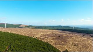 Ballinaboola Woods Walk