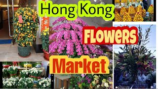 Hong Kong flowers Market || Tradisi Beli Bunga Menjelang Imlek ||