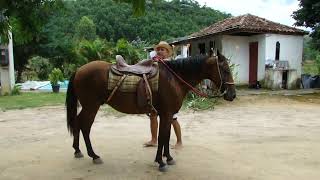 Cavalgando no Sitio em Rosário da Limeira - MG - 2012