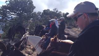 Mule Trail Ride on the Grand Canyon Rim                                     2691