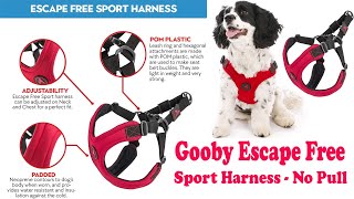 Escape Free Sport Harness - No Pull Step-In Patented Neoprene Small Dog Harness with Four-Point