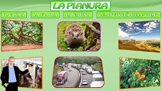 LA PIANURA: IL CLIMA, LA FLORA, LA FAUNA E LE ATTIVITÀ DELL'UOMO