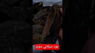 عود سيلاني سوبر