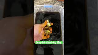 Dung dịch đánh bóng đồng thau