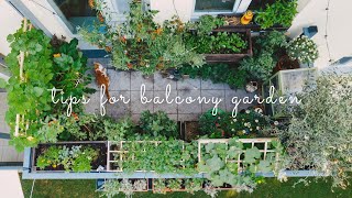 #28 Essential Tips for Starting a Balcony Vegetable Garden | Urban Gardening