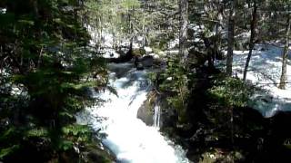 Snowmelt on Mt Washington