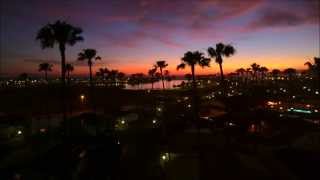 GLORIOUS Palm Grove Purple Sky Sunset - SADE "Kiss Of Life" HD