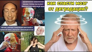 Застой крови в височной вене ухудшает работу мозга, создаёт отёки лица. Упражнения для декомпрессии