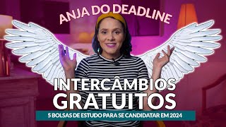 Humphrey Fulbright, Peter Drucker Challenge e intercâmbios gratuitos em 2024 - Partiu Intercâmbio