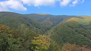 태백 택시는 산골승객 모셔드리고 두문동재 옛날38국도 넘어간다 단풍이 물드는 가을산 ᆢ