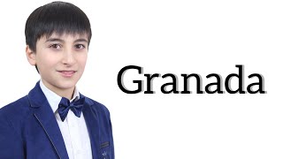 Granada (Augustin Lara) - Narek Sahakyan & AGBU Chamber Orchestra Bulgaria, Sofia