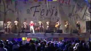 Irvin Gonzalez con el Mariachi Universal en la Feria Yecapixtla 2013 - Serenata Huasteca