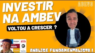 AMBEV está crescendo de novo ? Ou será voô de galinha ? Análise do Q4/2022.