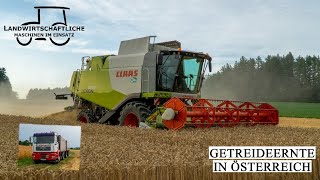 Claas Lexion bei der Getreideernte 2023 | Mähdrescher | Weizen dreschen | LKW | grain harvest