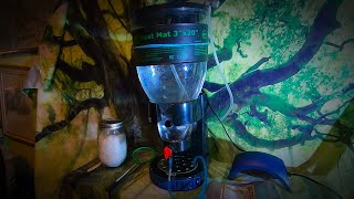 Best Brine Shrimp Hatchery and How I Made It! Feeding Newborn Fish!