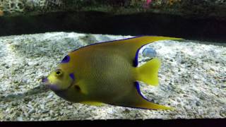 NC Aquarium at Fort Fisher