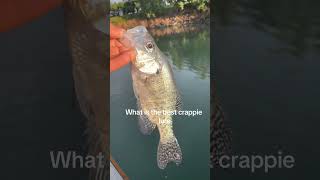 The best lure for post spawn crappie #fishing #crappiefishing #kansas