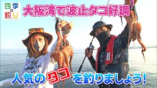 大阪湾で波止タコ好調　人気のタコを釣りましょう！（四季の釣り/2021年8月13日放送）