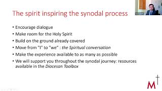 Getting familiar with the synodal process